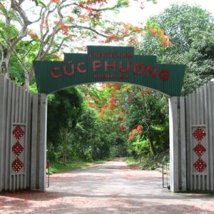 Tour Hoa Lư – Tam Cốc – Rừng Cúc Phương 2 Ngày 1 Đêm