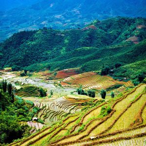 Tour Sapa 3 Ngày 2 Đêm – Cát Cát – Hàm Rồng – Fansipan – Hà Khẩu Trung Quốc