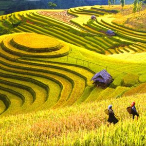 du-lich-sa-pa-kinh-nghiem-va-thong-tin-huu-ich