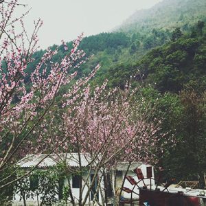 TOUR SAPA 3 NGÀY 2 ĐÊM