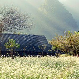 kinh-nghiem-phuot-moc-chau