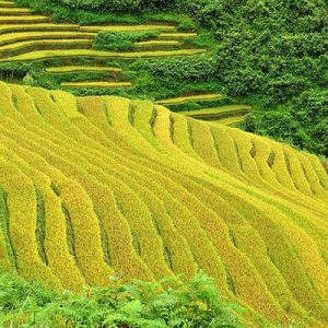 nhung-chi-dan-quy-gia-cho-chuyen-du-lich-sapa