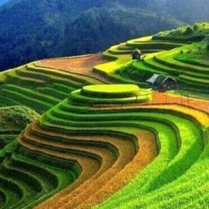 Tour Du Lịch Sapa 2 Ngày 1 Đêm Ngủ Bản Lao Chải – Tả Van – Ý Linh Hồ