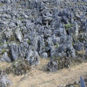 TOUR DU LỊCH TÂY BẮC 5 NGÀY 4 ĐÊM