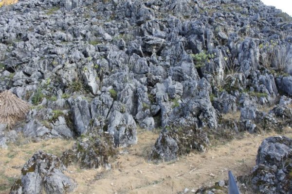 TOUR DU LỊCH TÂY BẮC 5 NGÀY 4 ĐÊM TOUR DU LỊCH TÂY BẮC 5 NGÀY 4 ĐÊM