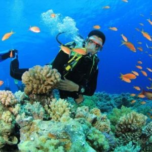 Tour Du Lịch Cù Lao Chàm 1 Ngày (Opt 02)