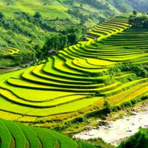 Tour Du Lịch Sapa 3 Ngày 2 Đêm | Cát Cát – Hàm Rồng – Thác Bạc