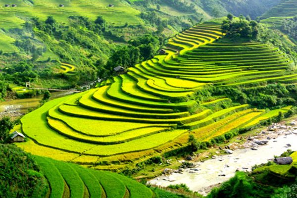 TOUR DU LỊCH SAPA 2 NGÀY 1 ĐÊM