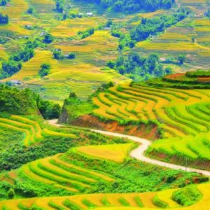 TOUR DU LỊCH SAPA