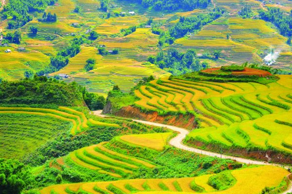 SINH CAFFE TOUR TOUR DU LỊCH SAPA