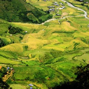  Tour Mù Cang Chải 2 ngày 1 đêm