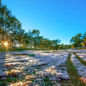 Tour Thăm Quan Đà Lạt 4 Ngày 3 Đêm Đầy Thú Vị