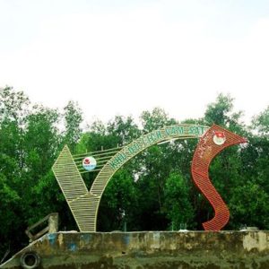 Du Lịch Đảo Khỉ Cần Giờ 1 Ngày