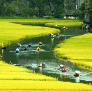 Tour Ninh Bình Hoa Lư Tam Cốc Hang Múa 1 Ngày