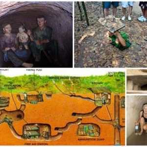 Tour Cu Chi 1/2 Ngày Cao Cấp