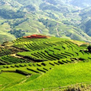 https://thesinhcafetoursonline.com.vn/